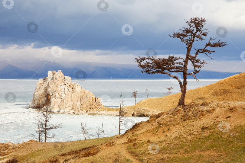 Скачать Мыс Бурхан или скала Шаманка на острове Ольхон весной. фотосток Ozero