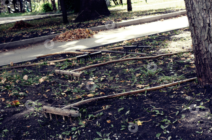 Скачать Самодельные деревянные грабли на земле фотосток Ozero