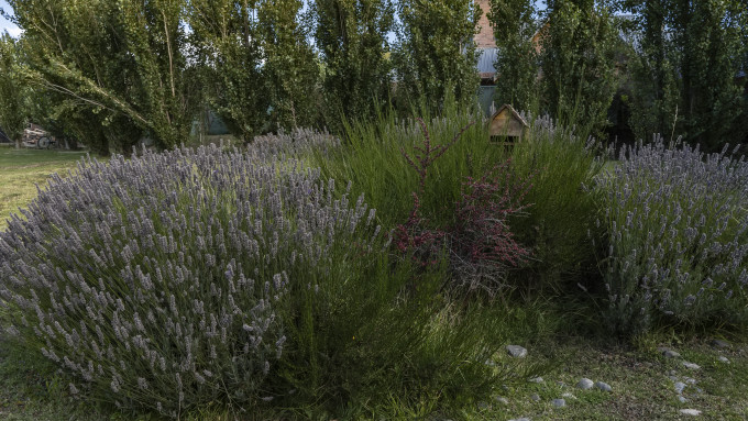 [object Object] undefined