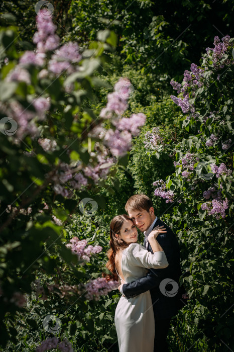 Скачать Мужчина и женщина целуются перед цветущим деревом 5086. фотосток Ozero
