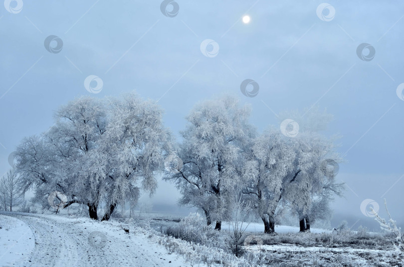 Скачать Луна на восходе фотосток Ozero