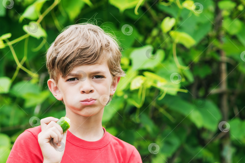 Скачать Маленький мальчик ест свежий огурец в саду фотосток Ozero