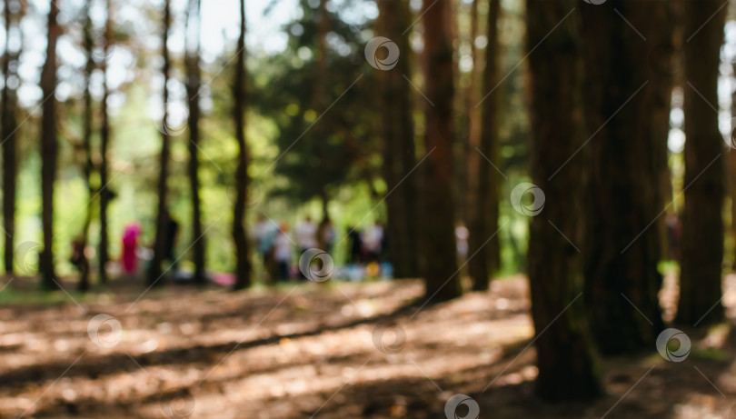 Скачать Размытое изображение людей, отдыхающих в лесу фотосток Ozero