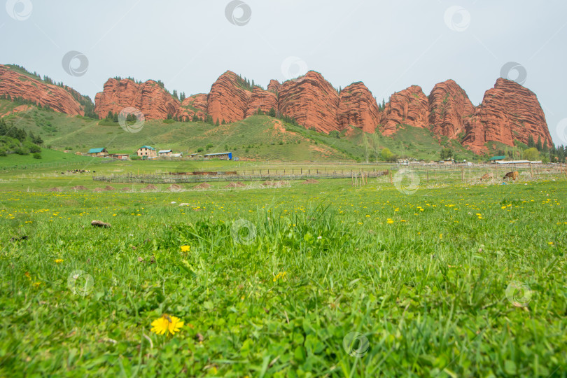 Скачать Скалистые горы и лес Джети Огуз Иссык-Куль, Кыргызстан. фотосток Ozero