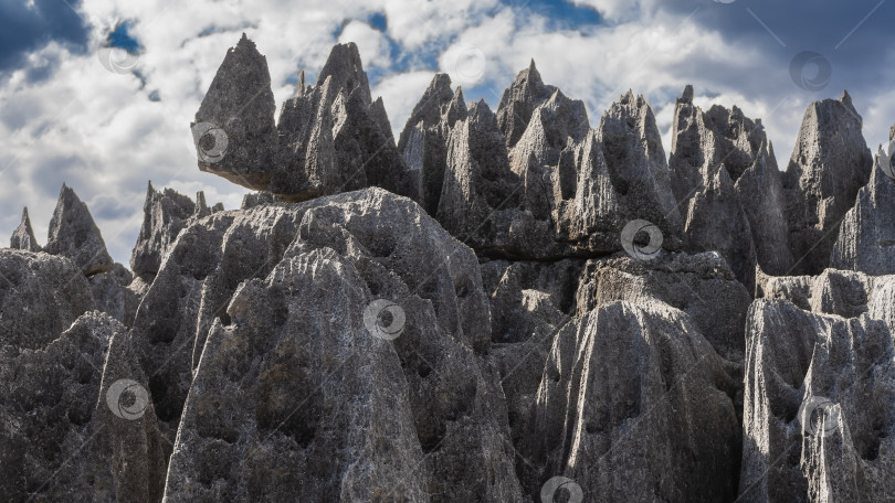 Скачать Фантастический природный ландшафт. Серые карстовые известняковые скалы фотосток Ozero