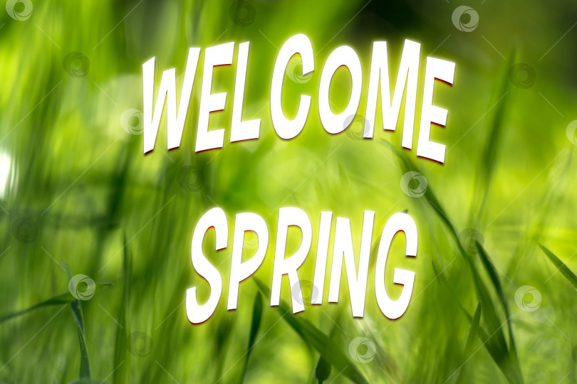 Скачать Зеленый размытый фон с белым текстом "Добро пожаловать, весна". Выборочный фокус фотосток Ozero