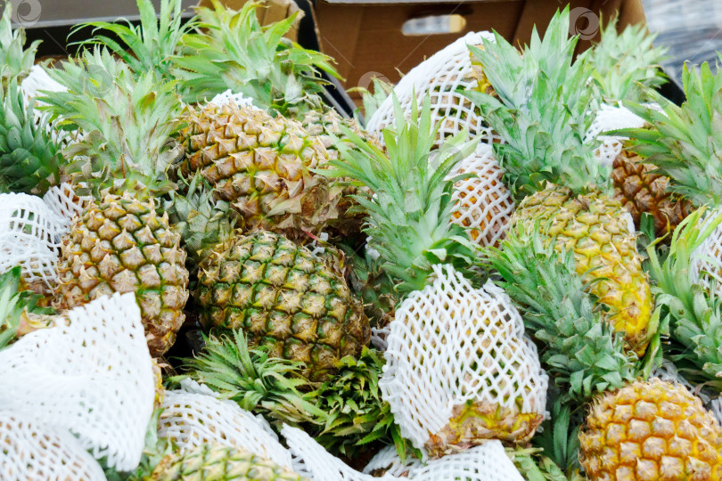 Скачать Летом на оживленном фермерском рынке продают свежие ананасы фотосток Ozero