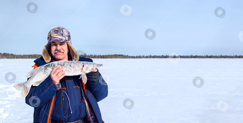 Скачать Рыбак с гордостью держит крупную щуку на фоне безмятежного заснеженного пейзажа, демонстрируя успешную зимнюю рыбалку. Баннер, место для копирования фотосток Ozero
