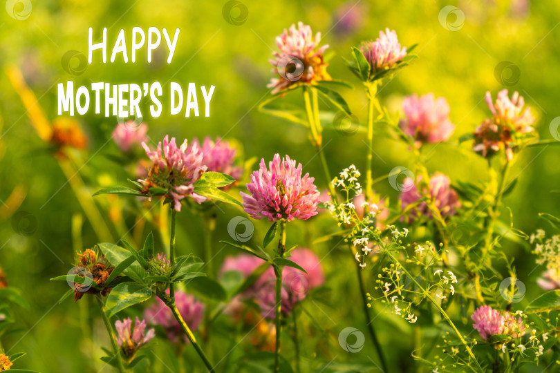 Скачать Весенние Цветы Украшают Поле В Честь Празднования Дня Матери фотосток Ozero