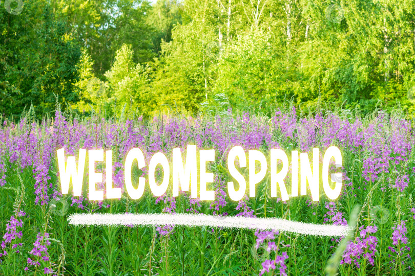 Скачать Яркое полотно Весны, приветствующее начало сезона распускающимися цветами и свежей зеленью фотосток Ozero