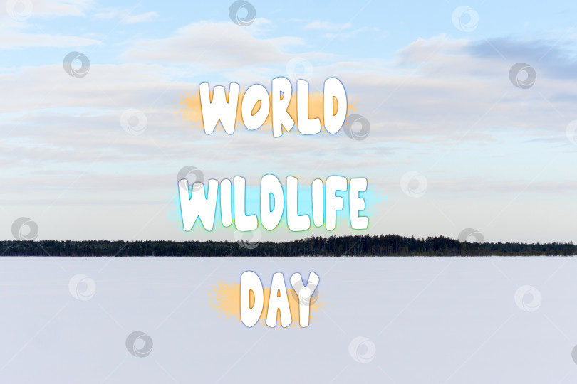 Скачать Празднование Всемирного дня дикой природы На Горизонте Безмятежного Зимнего леса фотосток Ozero