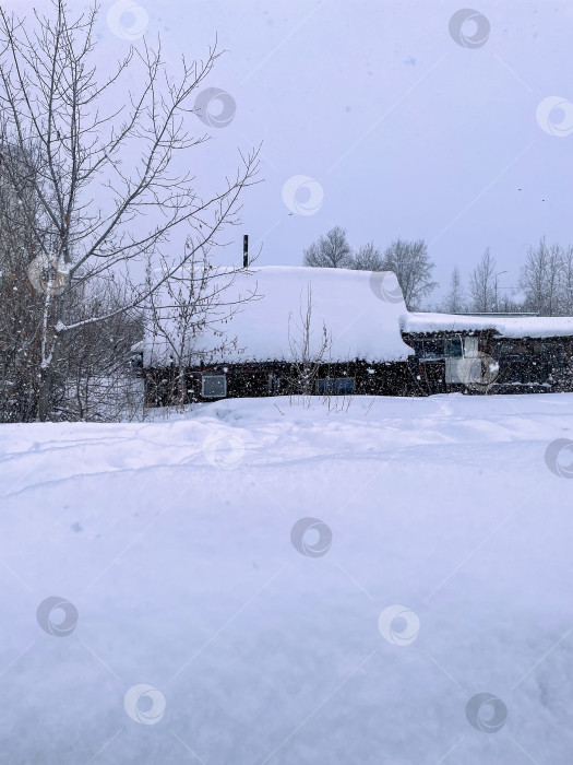 Скачать Объятия зимы: Заснеженное поле и жилище среди инея. Вертикальное фото фотосток Ozero