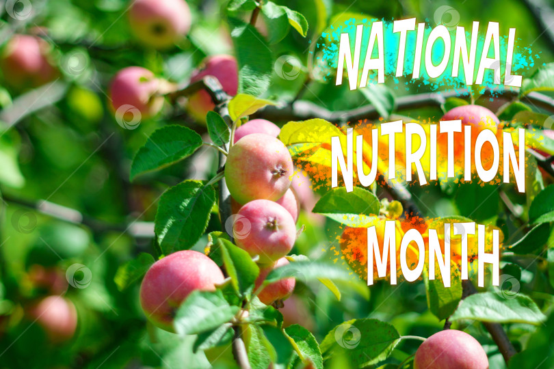 Скачать Празднование Национального месяца питания в США среди цветущих яблонь весной фотосток Ozero