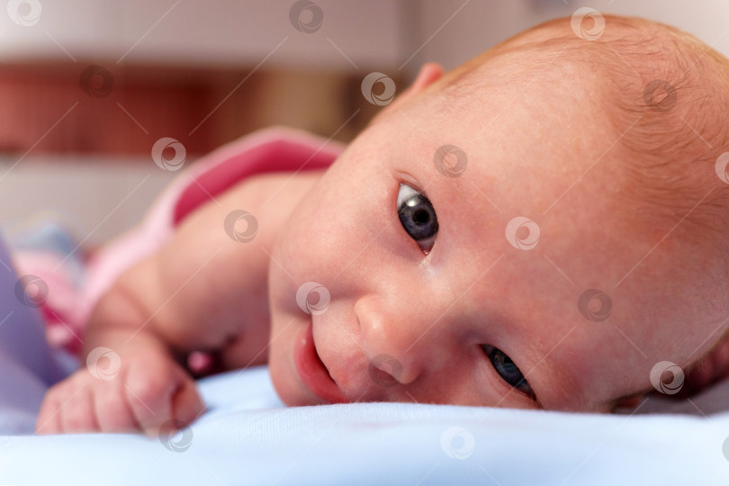 Скачать Невинный взгляд новорожденного, уверенные глаза, исследующие мир в два месяца фотосток Ozero