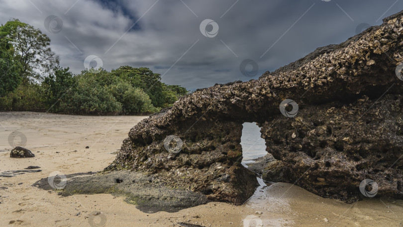 Скачать Естественная каменная арка на берегу моря была обнажена во время отлива. фотосток Ozero