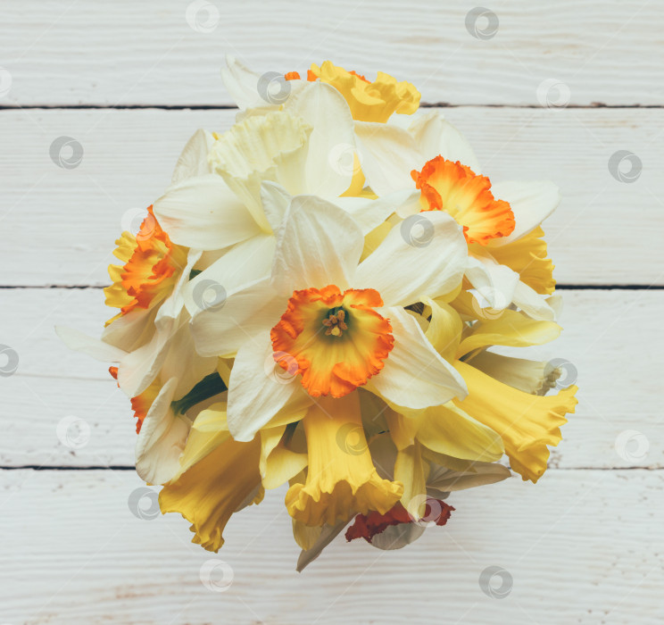 Скачать букет из свежих цветов Нарцисс на фоне белого дерева, вид сверху фотосток Ozero