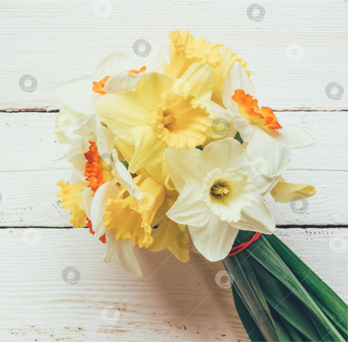 Скачать букет из свежих цветов Нарцисс на белом деревянном фоне фотосток Ozero