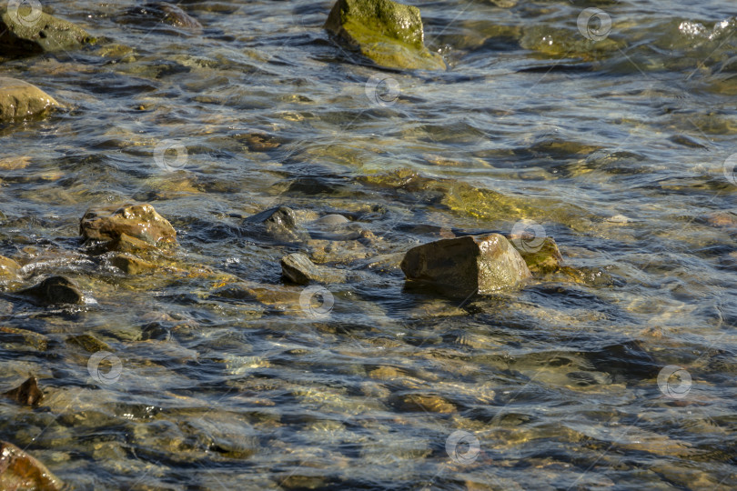 Скачать Морские камни и скалистые породы разных размеров и текстуры черного, серого и коричневого цветов под водой на побережье Черного моря в качестве природного ландшафта. фотосток Ozero