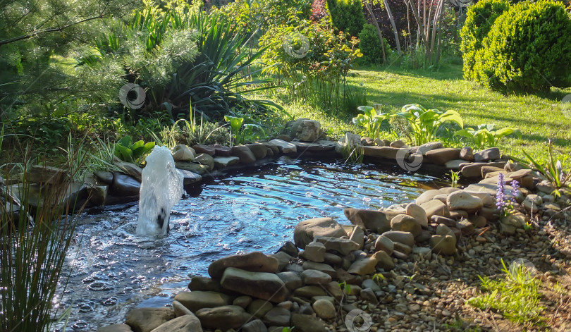 Скачать Красивый небольшой садовый пруд с каменным берегом и фонтаном на фоне вечнозеленого сада. В пруду с каменным берегом отражается голубое небо. Летний радостный пейзаж фотосток Ozero