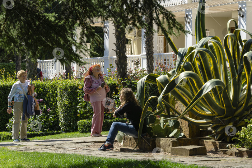 Скачать Мексиканский дворик в ландшафтном парке Айвазовского (Park Paradise) в Партените. Туристы возле красивых полосатых листьев американской агавы (Agave americana).  Алушта, Крым, Россия - 28 сентября 2019 г. фотосток Ozero