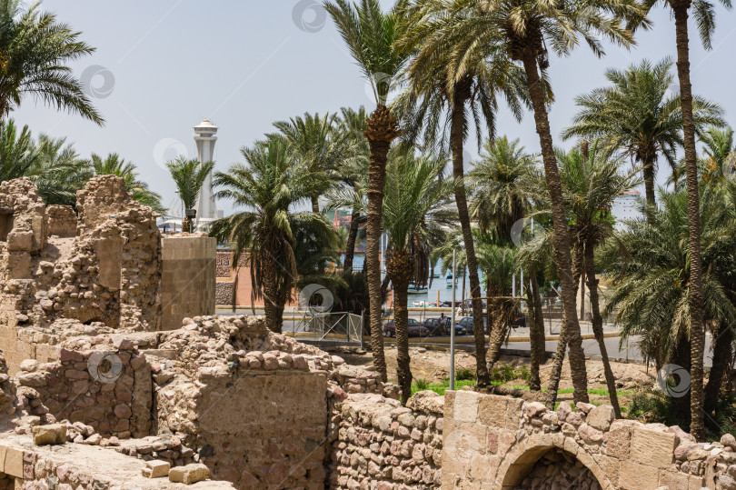Скачать Крепостные стены Мамлюкского замка или форта Акаба в Иордании. Крепость была построена крестоносцами в 12 веке фотосток Ozero