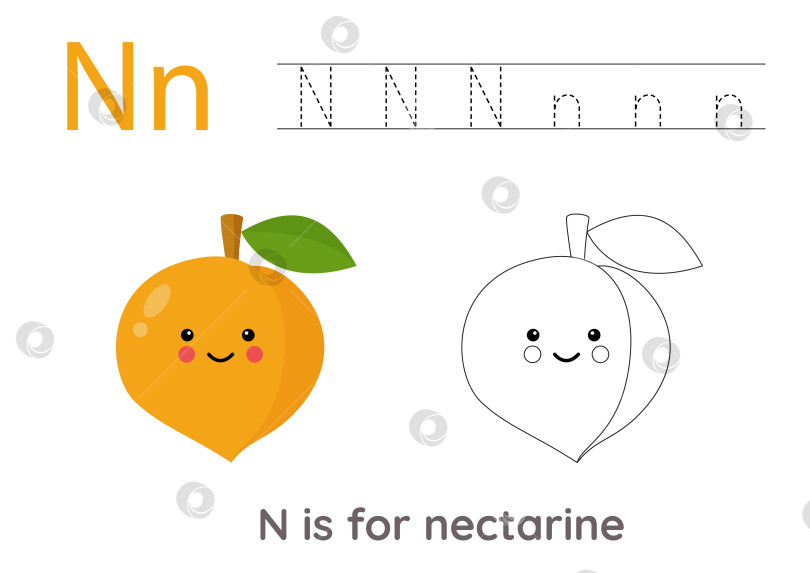 Скачать Обводим буквы алфавита милыми фруктами и овощами. Раскрасьте милый мультяшный нектарин. Обводим букву N. фотосток Ozero