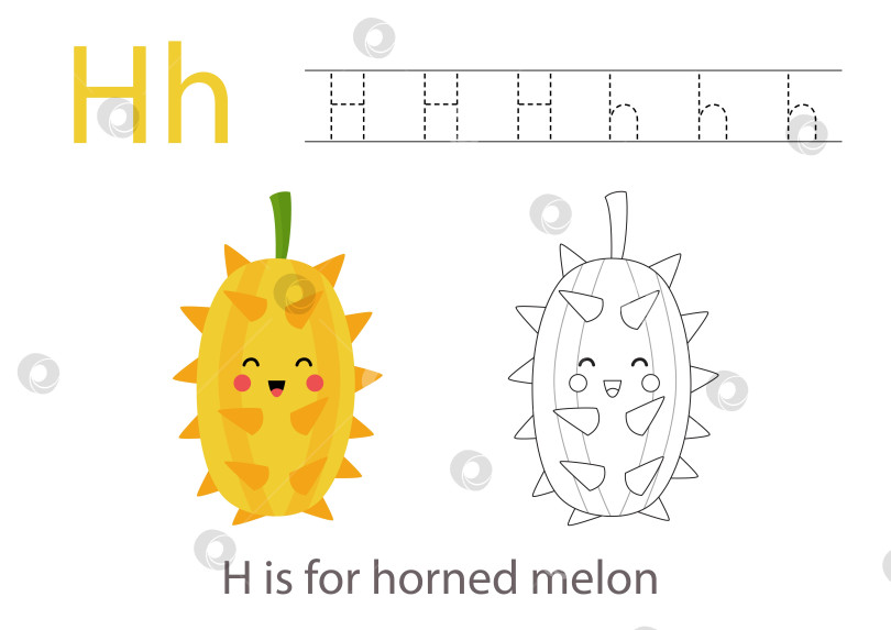 Скачать Обводим буквы алфавита милыми фруктами и овощами. Раскрасьте милую мультяшную рогатую дыню. Обводим букву H. фотосток Ozero