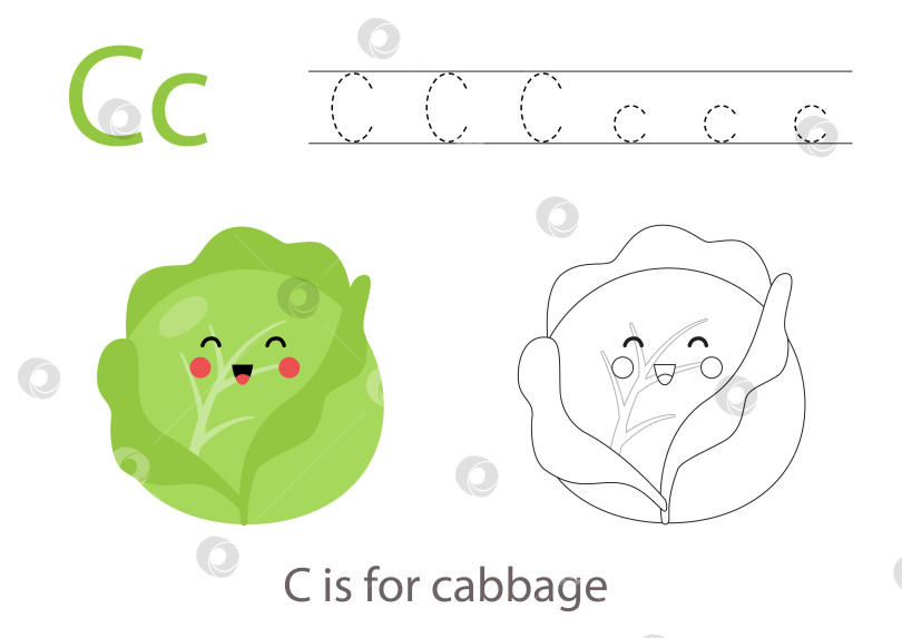 Скачать Рисуем буквы алфавита с помощью симпатичных фруктов и овощей. Раскрасьте симпатичную мультяшную капусту. Обведите букву С. фотосток Ozero