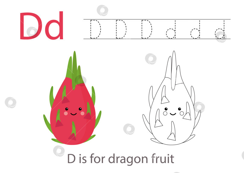 Скачать Обводим буквы алфавита милыми фруктами и овощами. Раскрасьте милые мультяшные драконьи фрукты. Обводим букву D. фотосток Ozero
