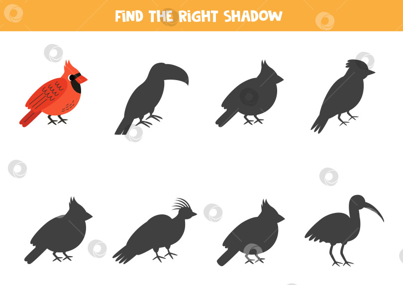 Скачать Найди тень милой красной птички-кардинала. Развивающая логическая игра для детей. фотосток Ozero