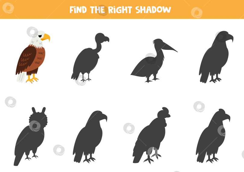 Скачать Найди тень милой птицы белоголового орлана. Развивающая логическая игра для детей. фотосток Ozero