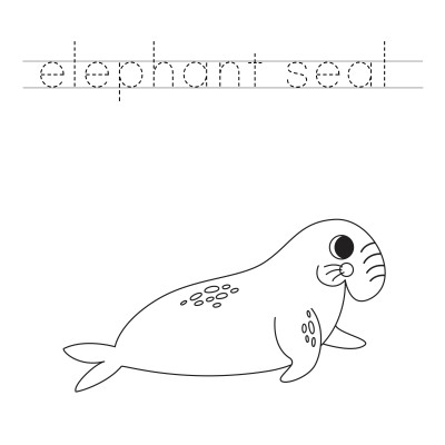[object Object] undefined