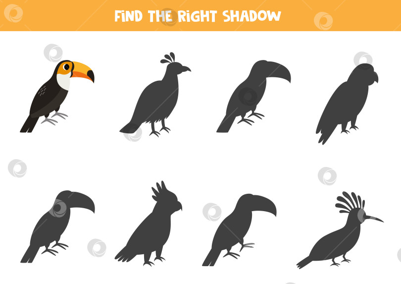 Скачать Найди тень милой птички тукан. Развивающая логическая игра для детей. фотосток Ozero