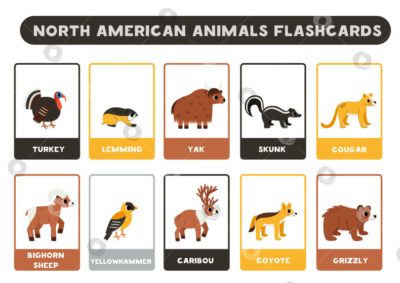 Скачать Милые североамериканские животные с именами. Карточки для изучения английского языка. фотосток Ozero