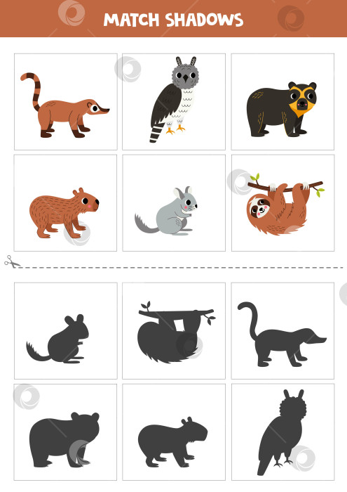 Скачать Найдите тени милых южноамериканских животных. Открытки для детей. фотосток Ozero