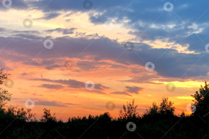 Скачать Эффектное розовое сумеречное небо с облаками на летнем закате фотосток Ozero