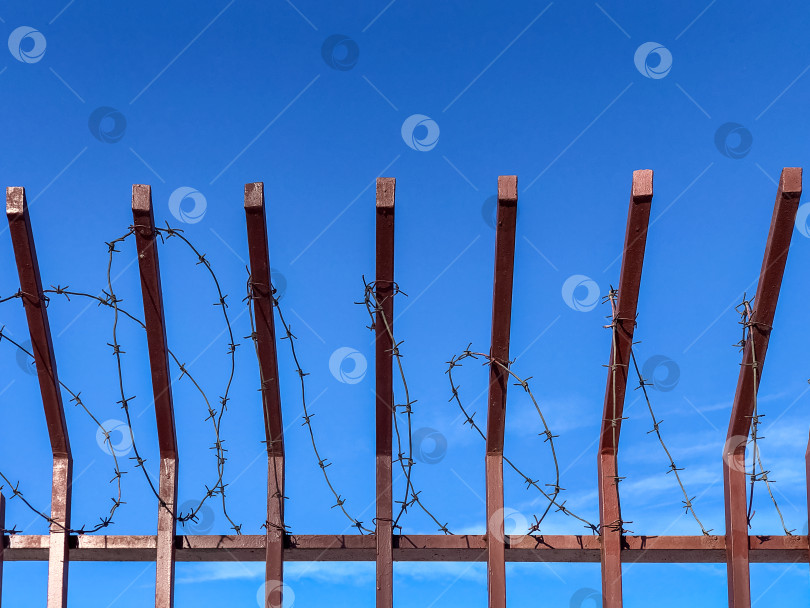 Скачать Металлический забор с колючей проволокой наверху на фоне голубого неба фотосток Ozero