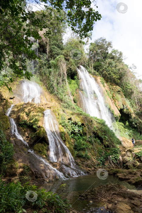 Скачать Водопад в тропическом лесу фотосток Ozero