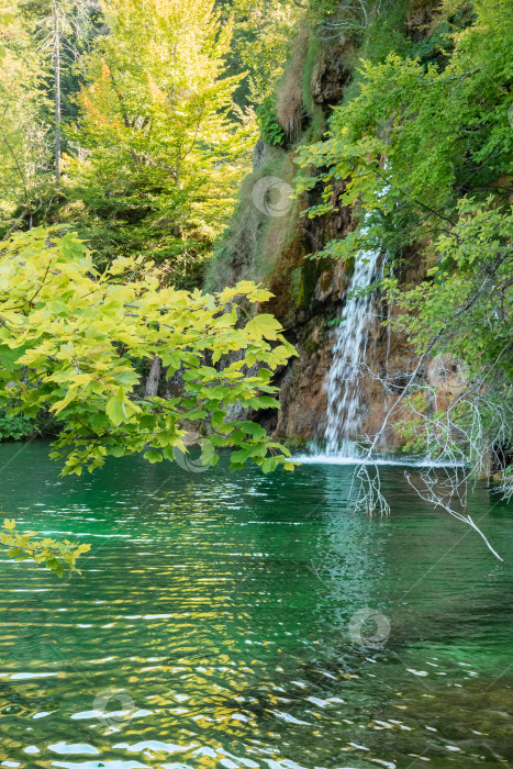 Скачать Утренний вид на каскад водопада, струящийся в лесу фотосток Ozero