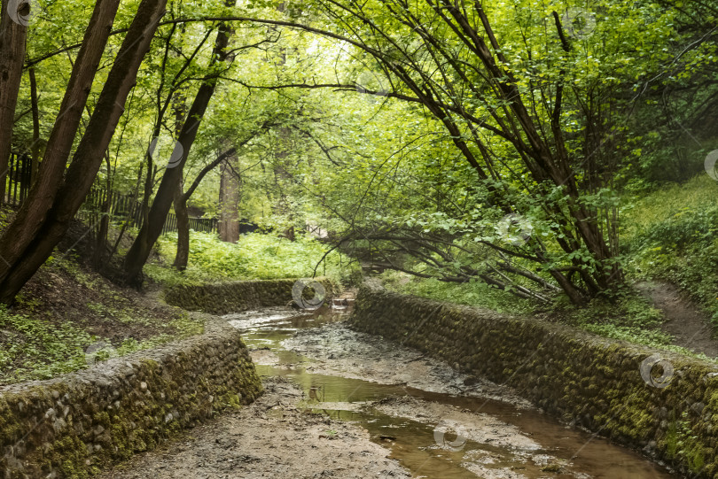 Скачать Пересохший ручей с выложенными камнем берегами в летнем парке среди деревьев фотосток Ozero