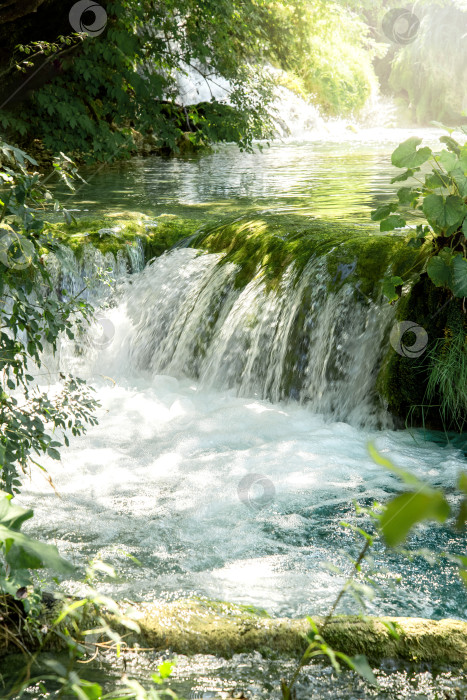 Скачать Утренний вид на каскад водопада в лесу фотосток Ozero