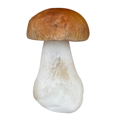 [object Object] undefined