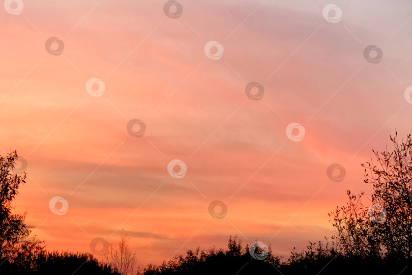 Скачать Красочный розовый и оранжевый фон закатного неба фотосток Ozero
