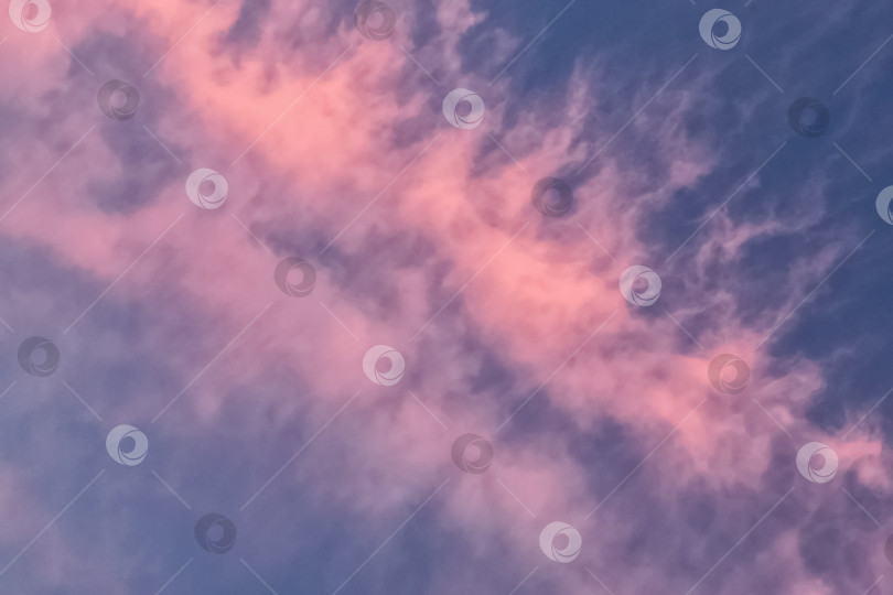 Скачать Розовые облака на закате на фоне голубого неба фотосток Ozero