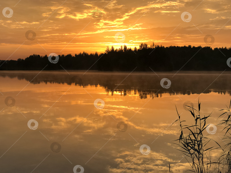 Скачать Эффектное оранжевое небо на закате над озером отражается в неподвижной водной глади, темная линия леса вырисовывается силуэтом на горизонте фотосток Ozero
