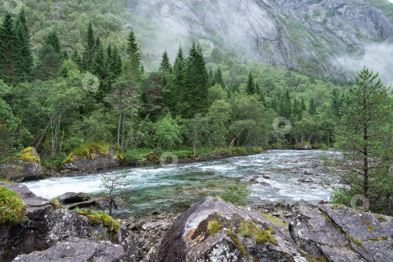 Скачать Горная река, текущая через зеленый лес. Природный ландшафт Норвегии фотосток Ozero