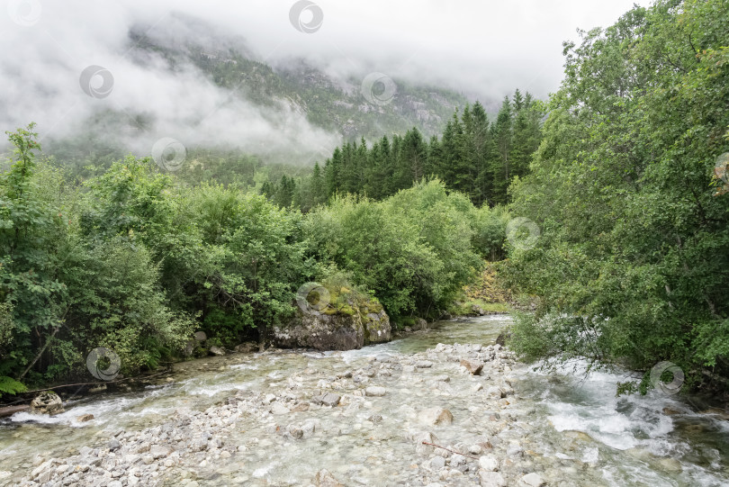 Скачать Горная река, протекающая через зеленый лес фотосток Ozero