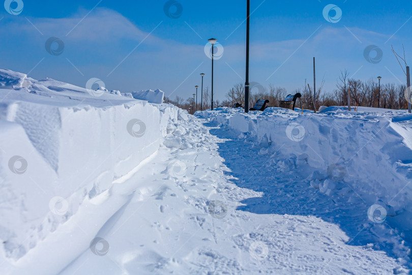 Скачать В парке занесённом снегом прочищена тропинка фотосток Ozero