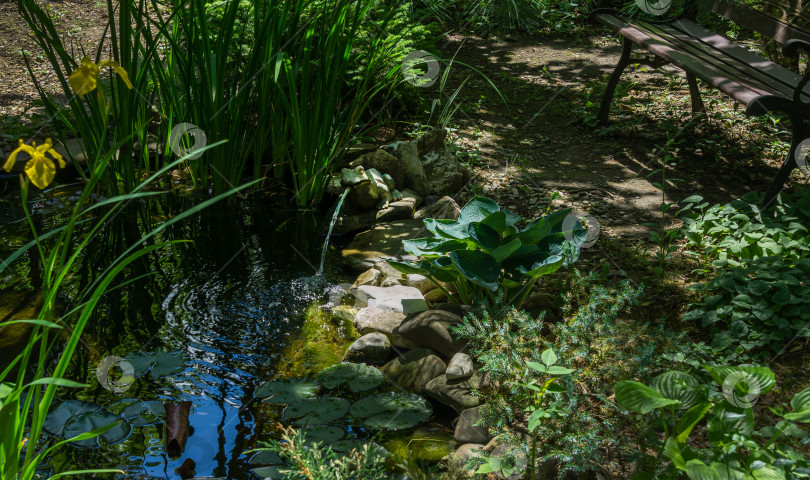 Скачать Красивый небольшой садовый пруд с фонтаном в форме лягушки и каменными берегами весной. Выборочный подход. Природная концепция дизайна фотосток Ozero
