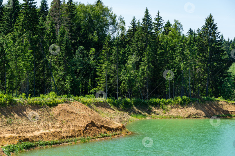 Скачать Изумрудно-зеленая вода с дикорастущими растениями и каменным берегом над ней. Красивый природный пейзаж в качестве естественного фона. Концепция природы для дизайна путешествий. Есть место для вашего текста фотосток Ozero